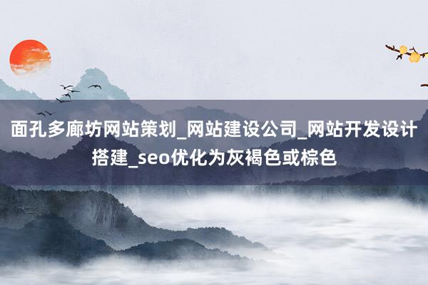 面孔多廊坊网站策划_网站建设公司_网站开发设计搭建_seo优化为灰褐色或棕色