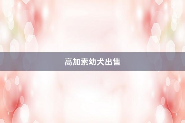 高加索幼犬出售